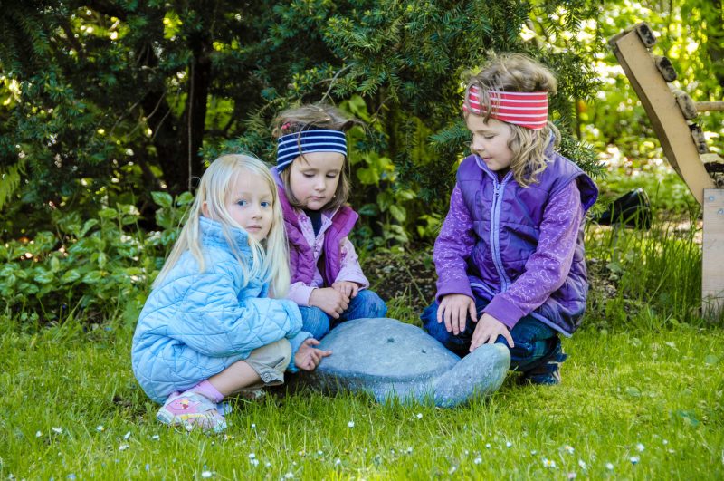 Liten skilpadde - Bilde 2