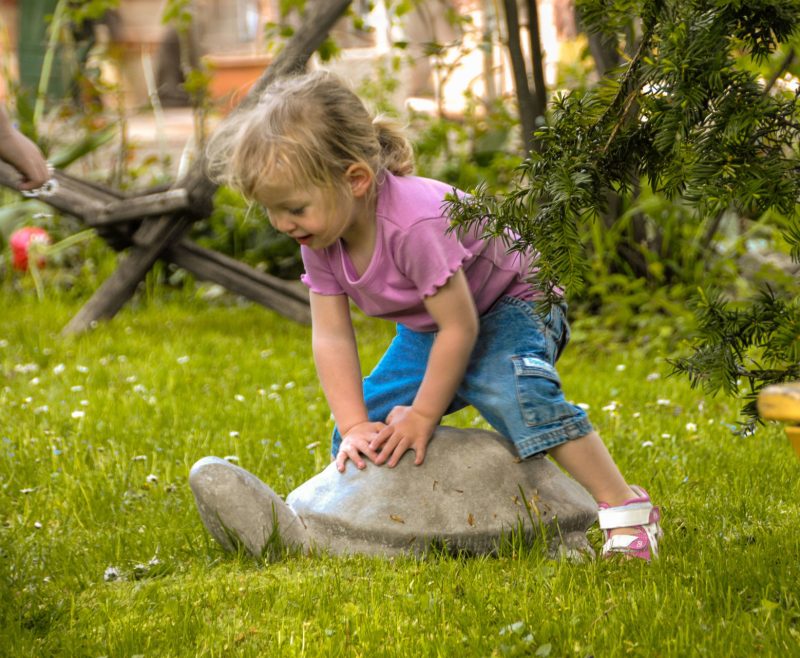 Liten skilpadde