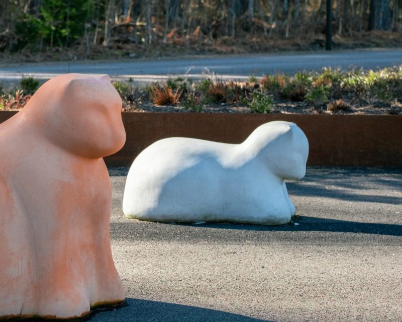 Liggende katt - Bilde 3